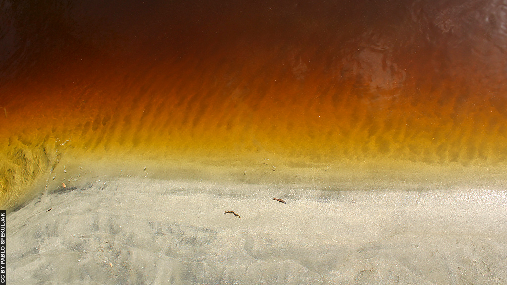 Blog Ativa | Rio no Parque Nacional Cahuita