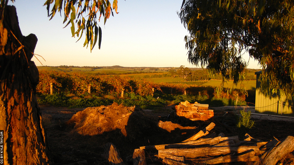 Vinicola Barossa Valley