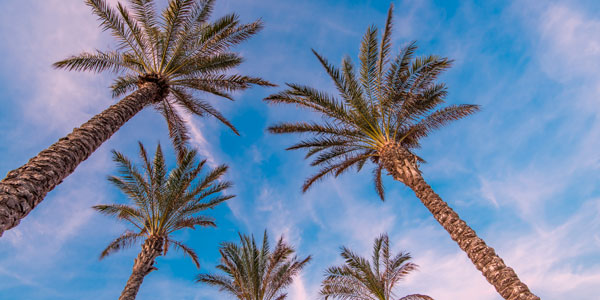 pacote de viagem para miami