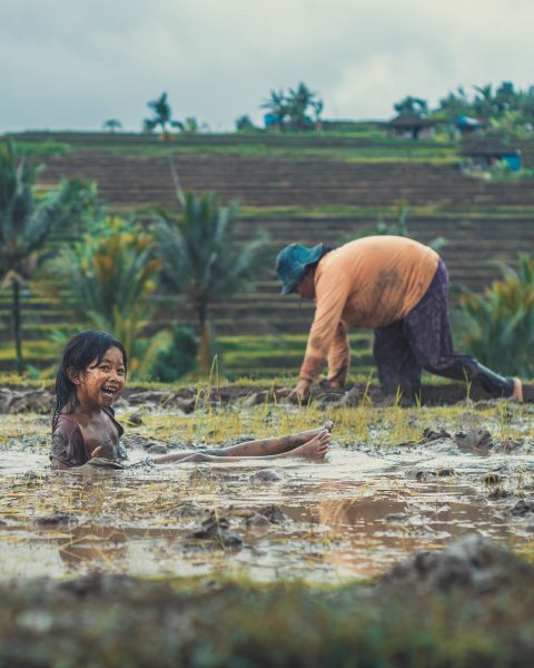 curiosidades da indonésia